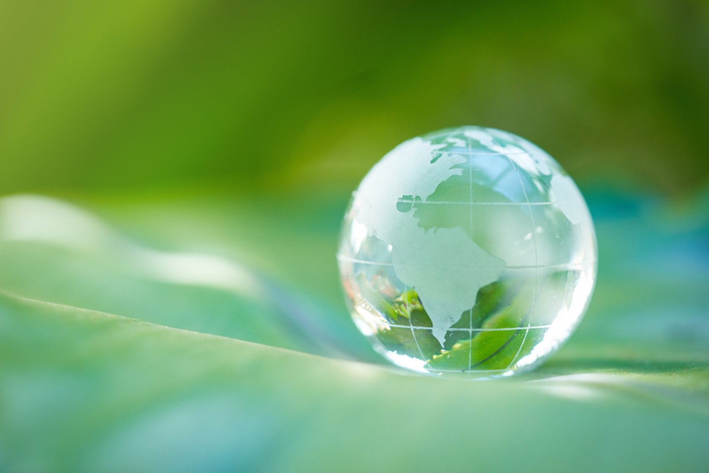 Çevre Politikamız